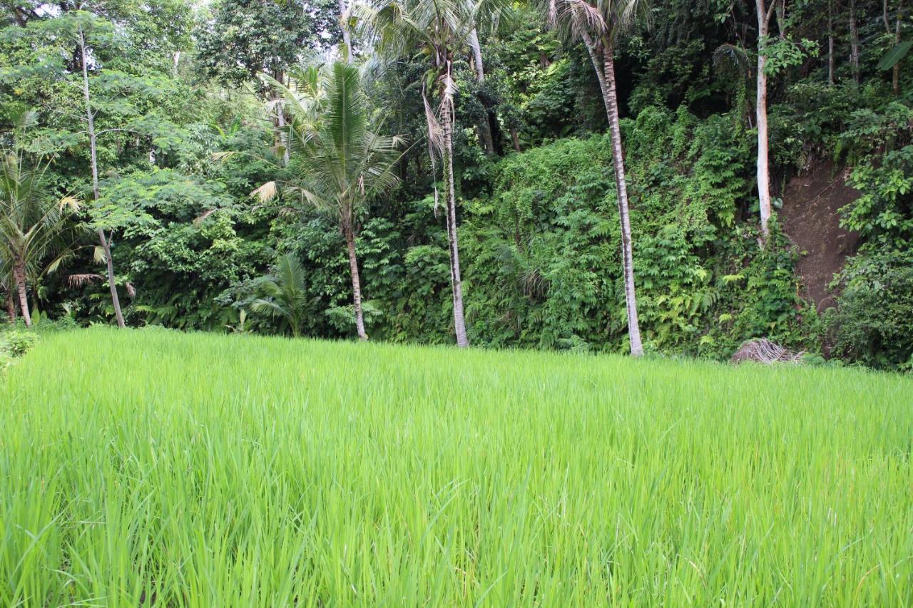 Pondok Tepi Sungai Sidemen  Exteriér fotografie